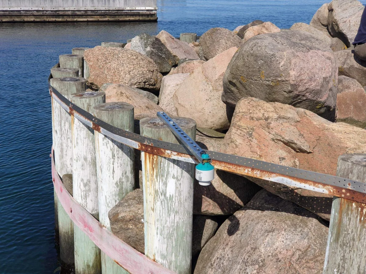 OceanWatcher radar sensor with its teal collar on a white aluminium arm reaching out over the water from a timber breakwater.