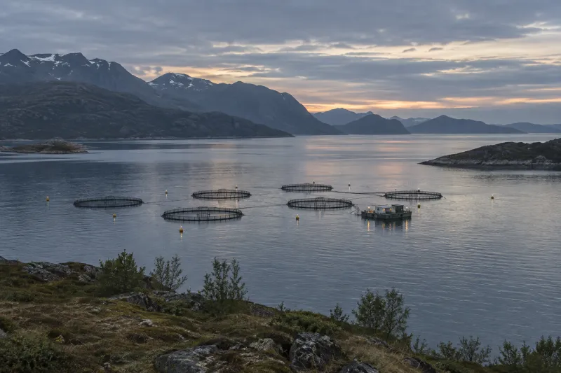 A representative scene for this solution, seen from a distance: Aquaculture site marking
